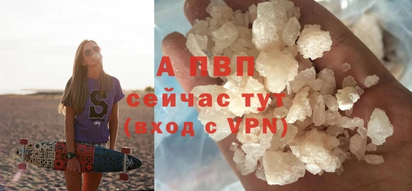 гидра Заводоуковск