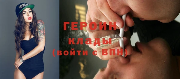 гидра Заводоуковск