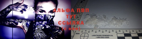 гидра Заводоуковск
