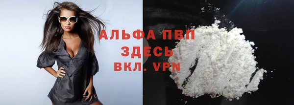 гидра Заводоуковск