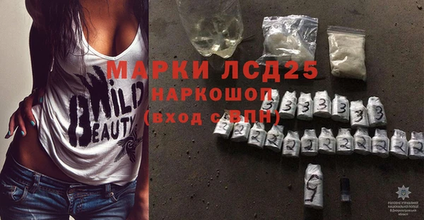 мдпв Инсар